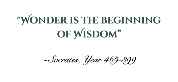 wonder is wisdom