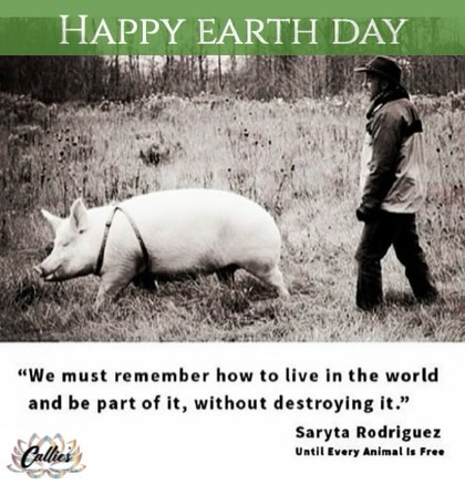 Happy Earth day from Callie’s Kitchen 🌱♥️

#WeAreAllOne #withlove