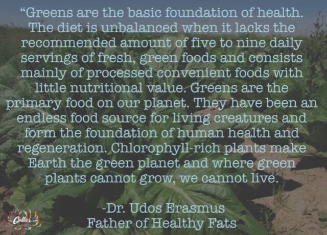 🌱✨ Greens ✨🌱